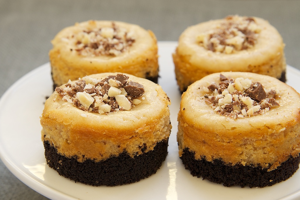 Peanut Butter Mini Cheesecakes Recipe Peanut Butter Mini Cheesecakes Recipe