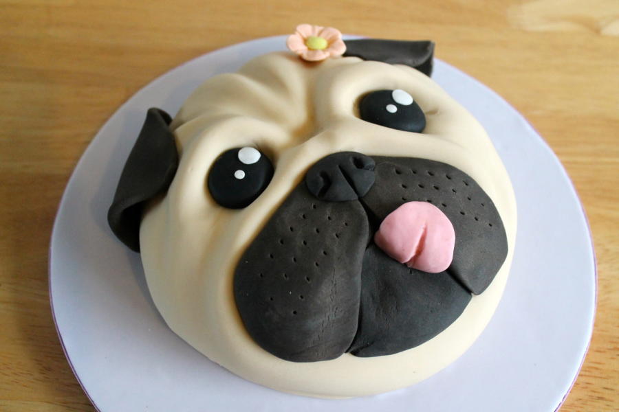 Pug Face Cake