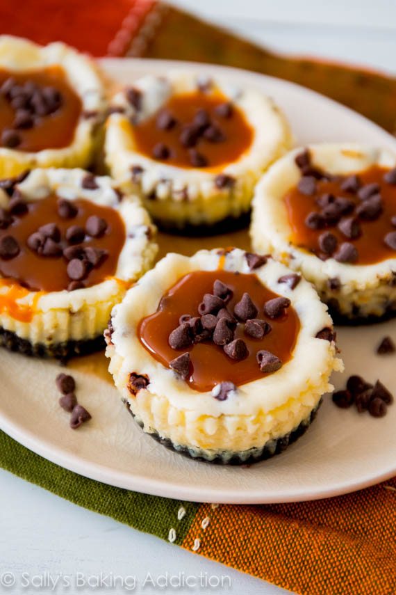 Salted Caramel Chocolate Chip Cheesecakes Salted Caramel Chocolate Chip Cheesecakes