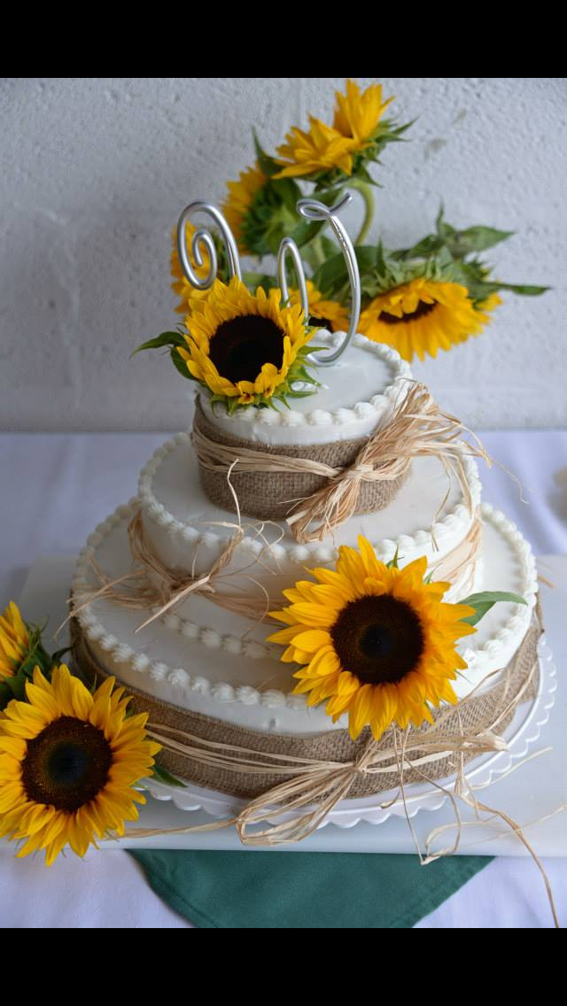 Sun Eclipse Cake Ideas