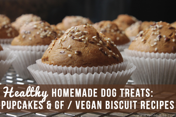 Healthy Homemade Dog Treats