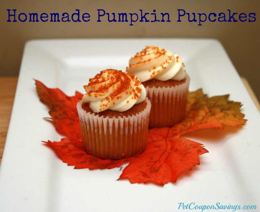 Homemade Pumpkin Dog Treats Homemade Pumpkin Dog Treats