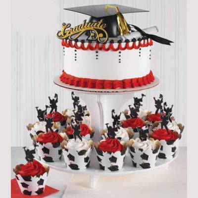 Publix Graduation Cake and Cupcakes