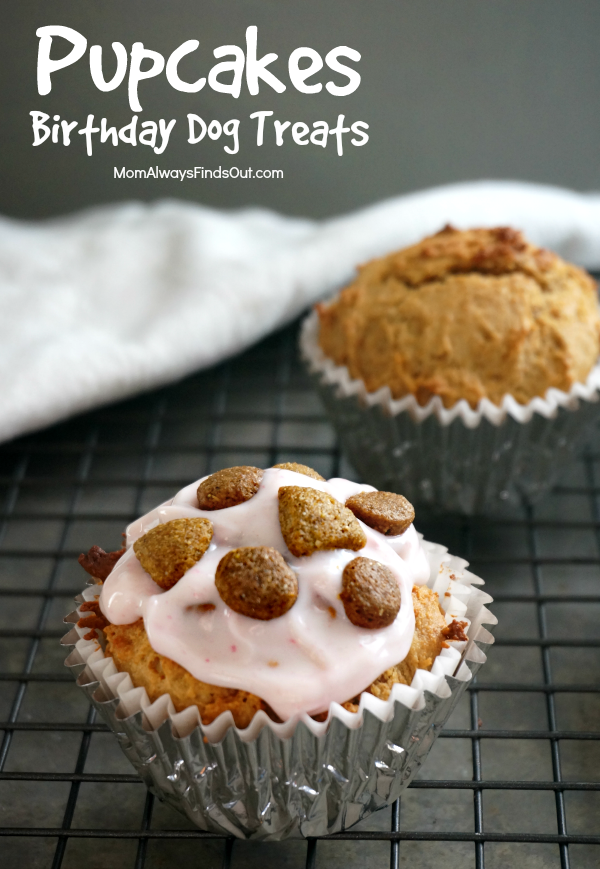 Recipe for Homemade Dog Treat Birthday Recipe for Homemade Dog Treat Birthday
