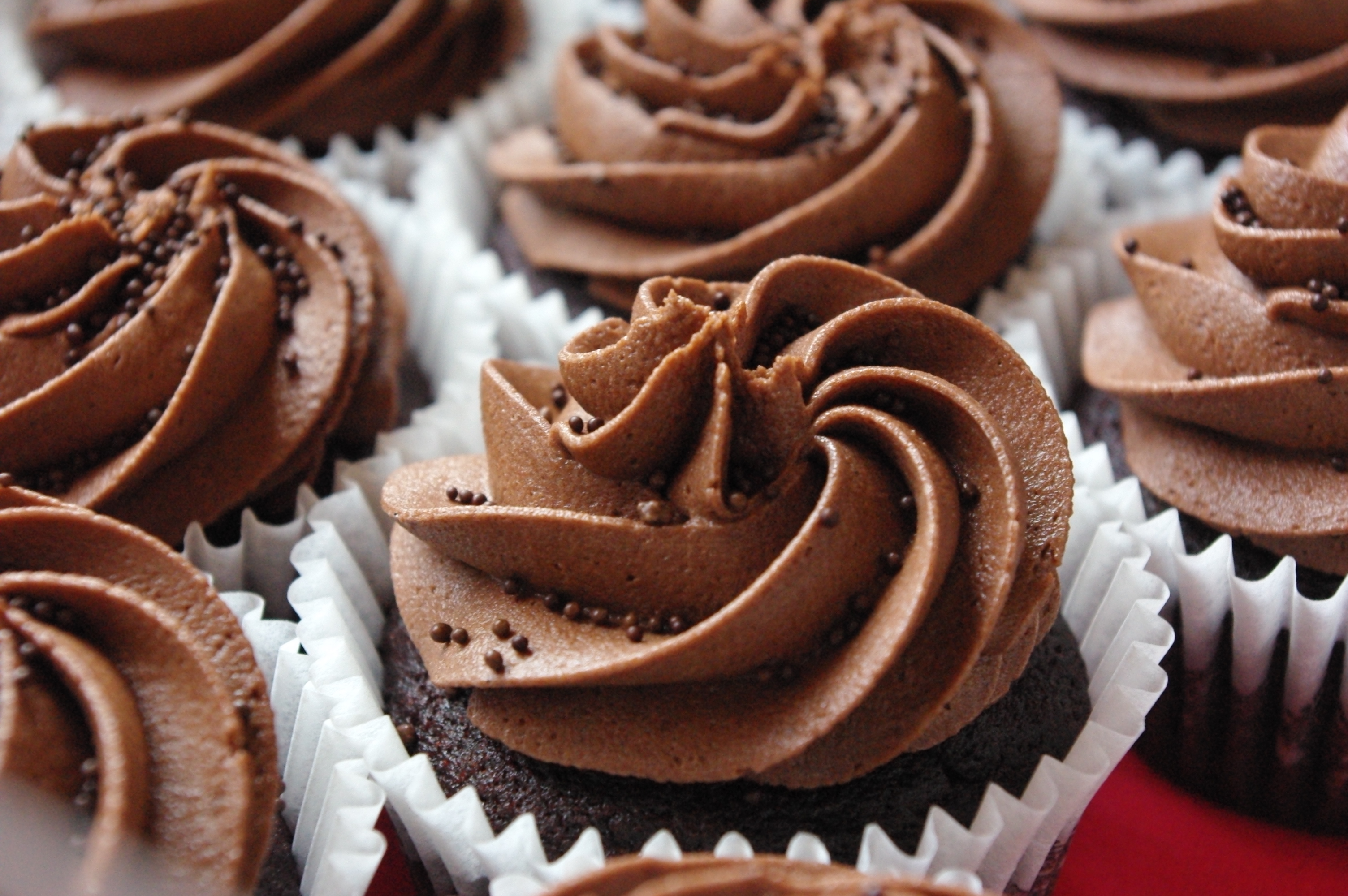 Beautiful Chocolate Cupcake