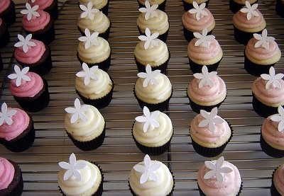 Bridal Shower Mini Cupcake Ideas Bridal Shower Mini Cupcake Ideas