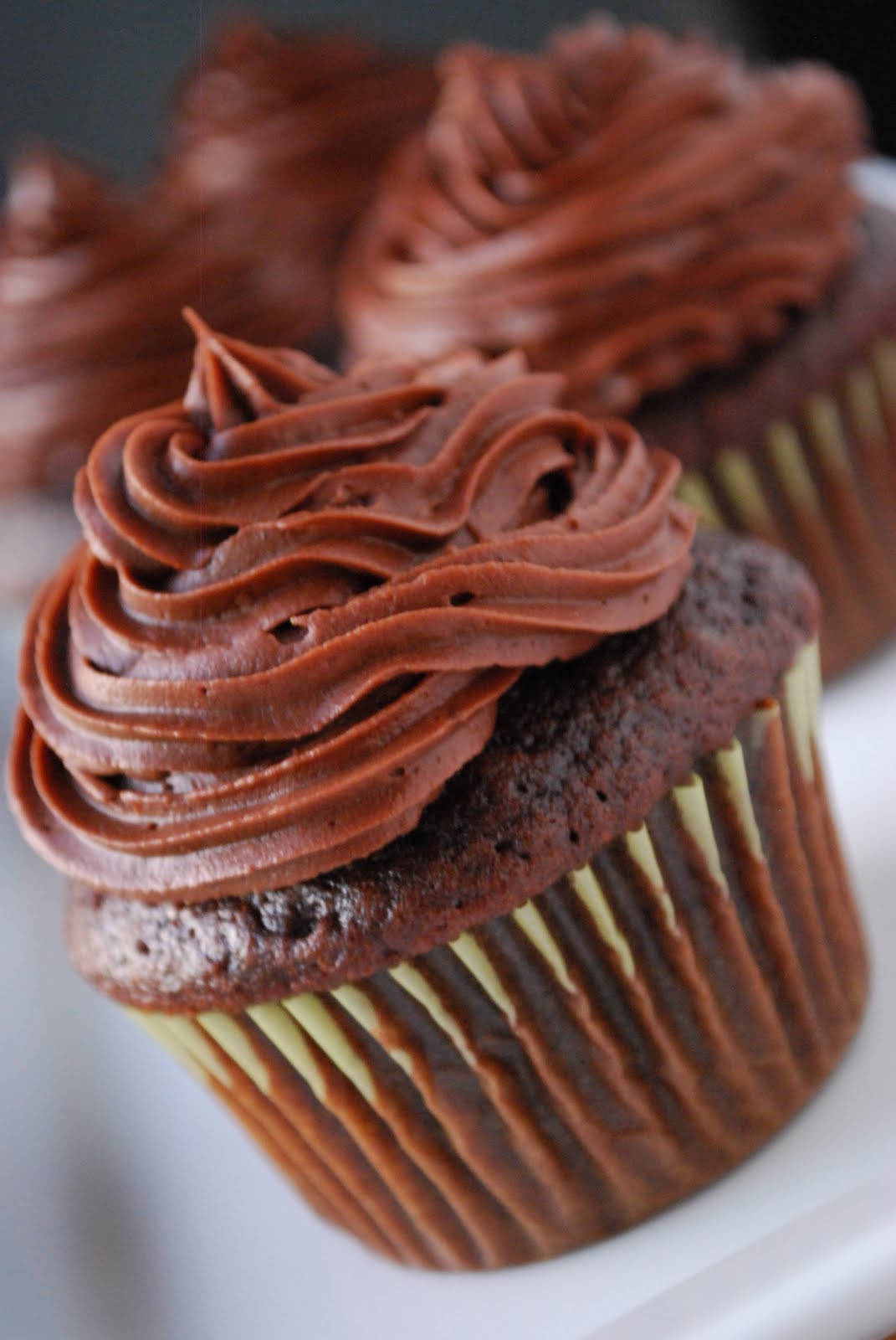 9 Photos of Classic Chocolate Cupcakes