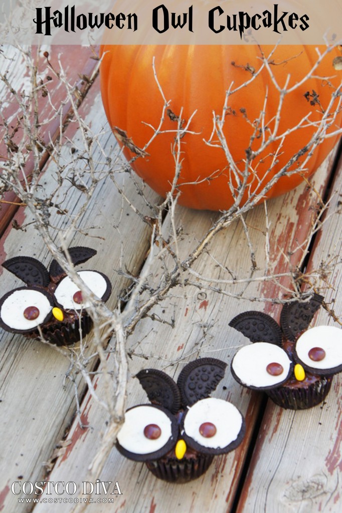 Halloween Owl Cupcakes