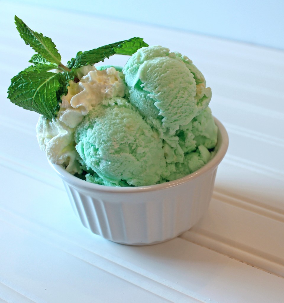 Mint Chocolate Ice Cream