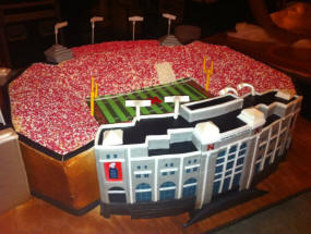 Nebraska Stadium Cake