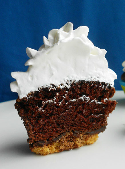 Toasted Marshmallow Chocolate Cupcakes with Graham Cracker