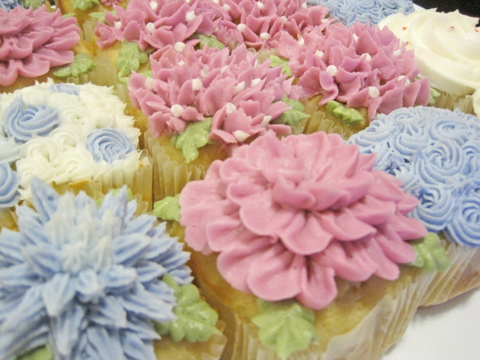 Wilton Cake Decorating Cupcakes