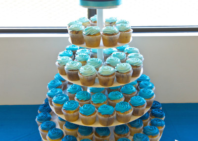 Blue Ombre Cake and Cupcakes