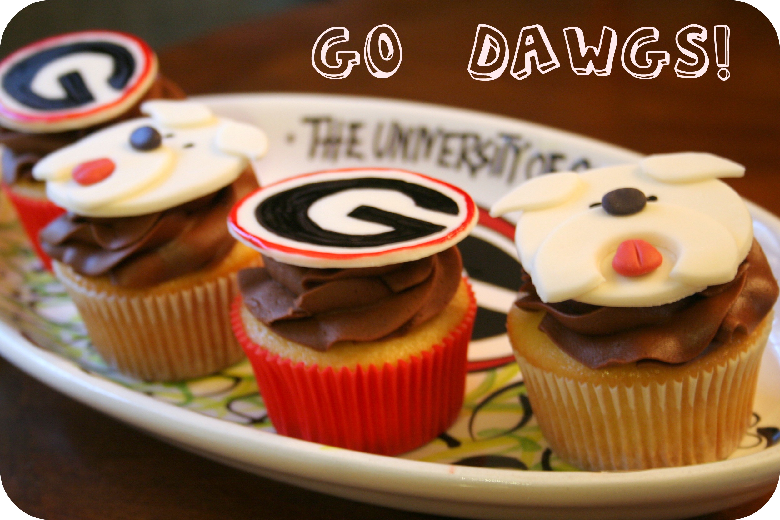 Georgia Bulldog Cupcakes