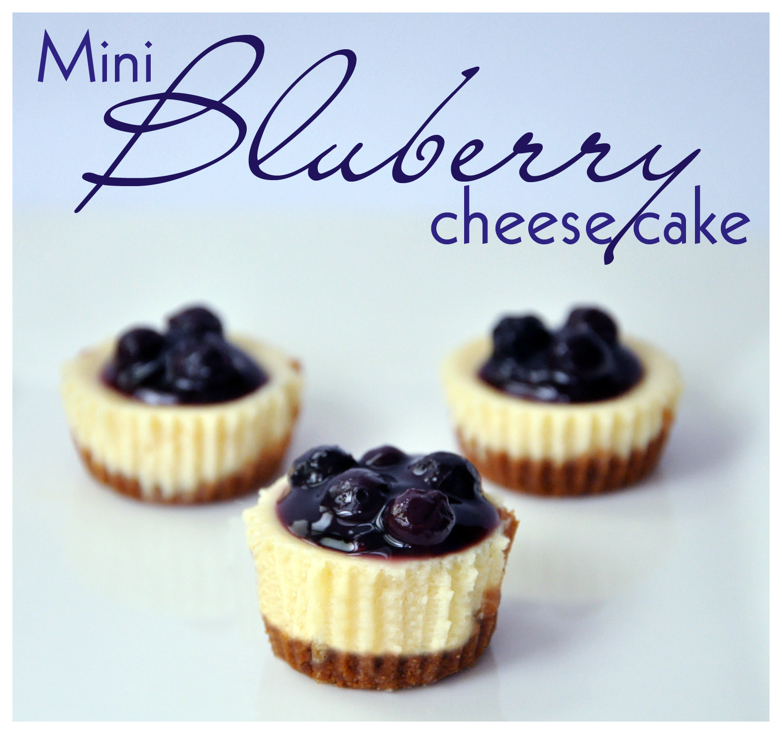 Mini Blueberry Cheesecakes