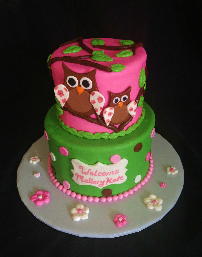 Owl Baby Shower Cake Owl Baby Shower Cake