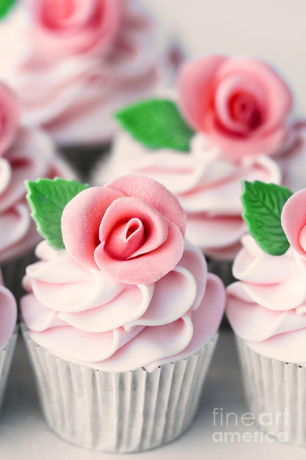 Pink Rose Cupcakes