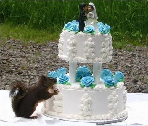 Squirrel Wedding Cake