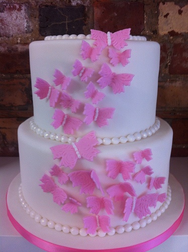 2 Tier Butterfly Birthday Cakes