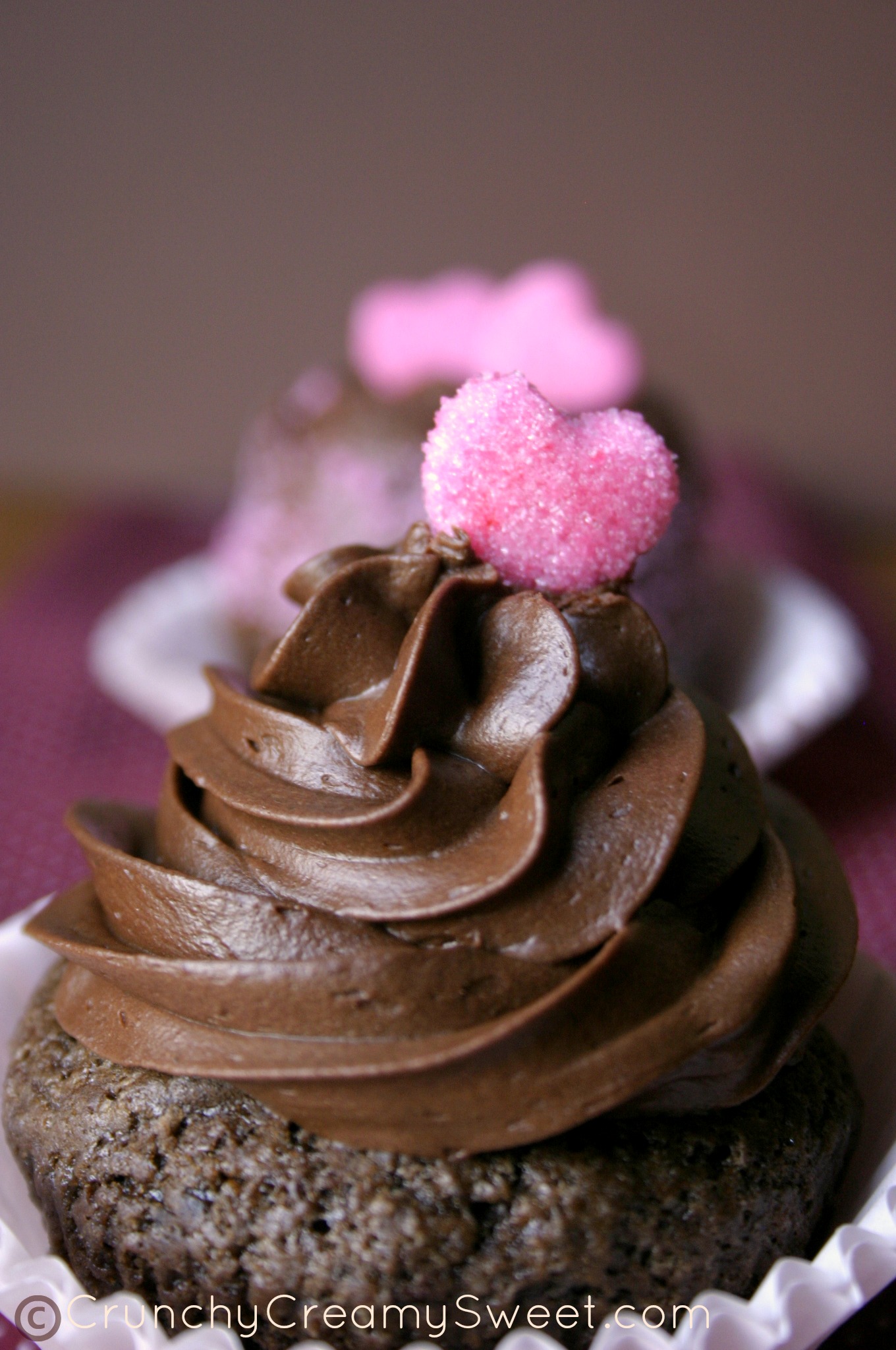 Cupcakes with Chocolate Ganache Whipped Frosting