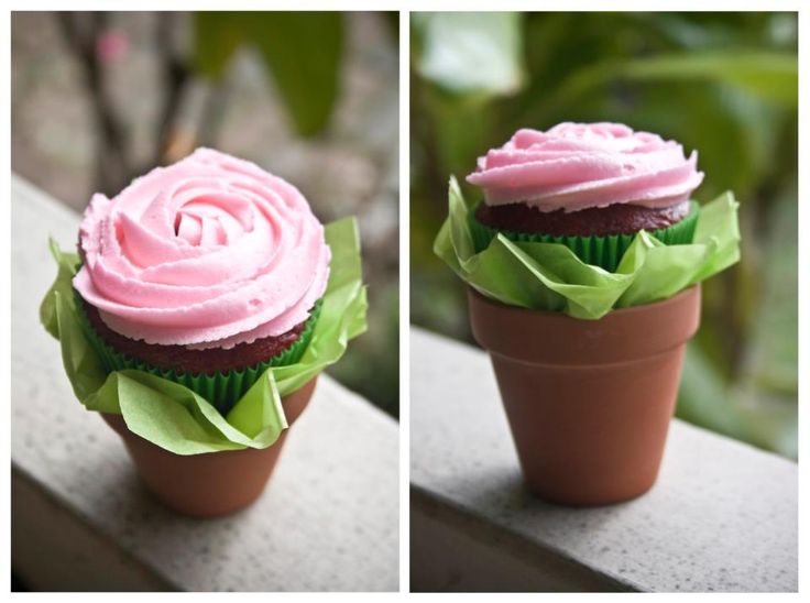 Flower Pot Cupcake Bouquet Flower Pot Cupcake Bouquet
