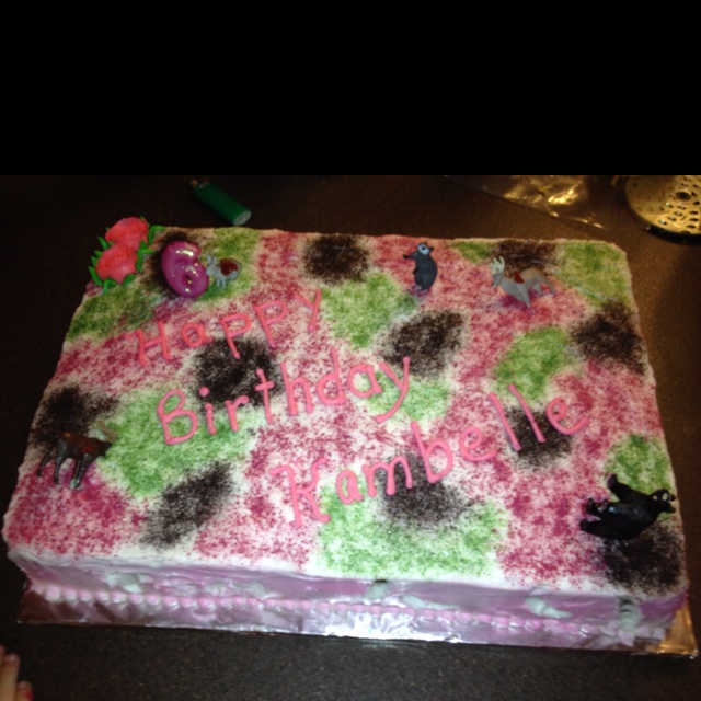 Girls Camo Birthday Cake