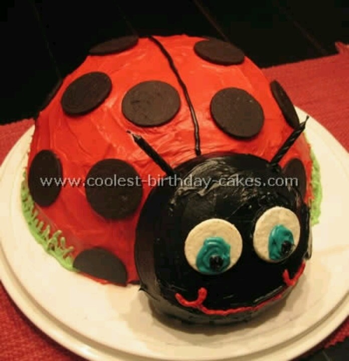 Homemade Ladybug Birthday Cake