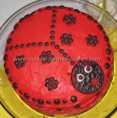 Homemade Ladybug Birthday Cake