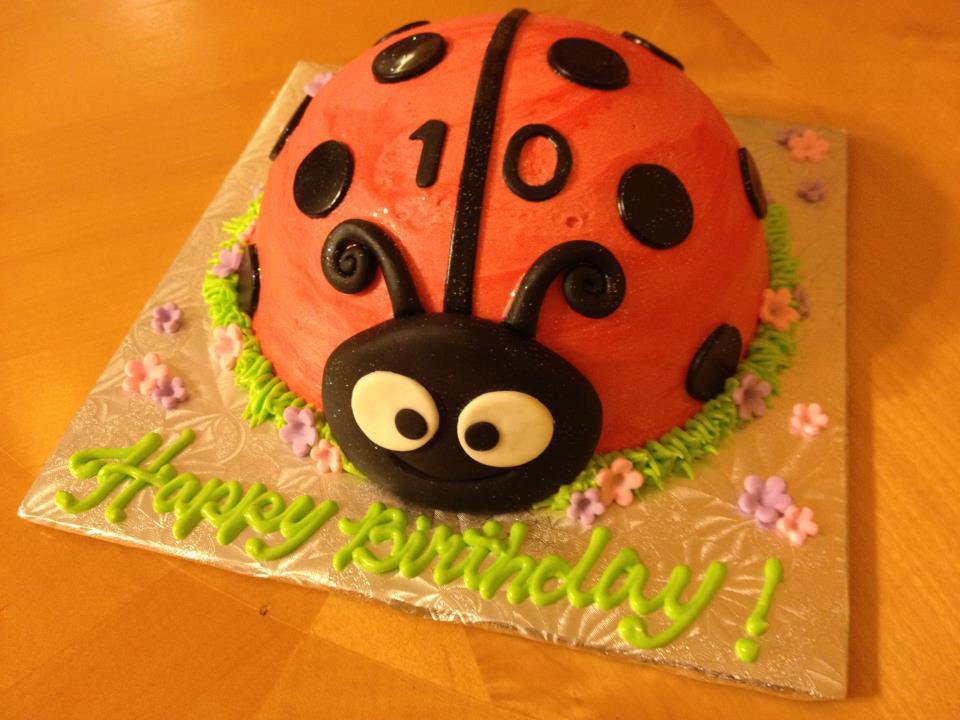 Homemade Ladybug Birthday Cake