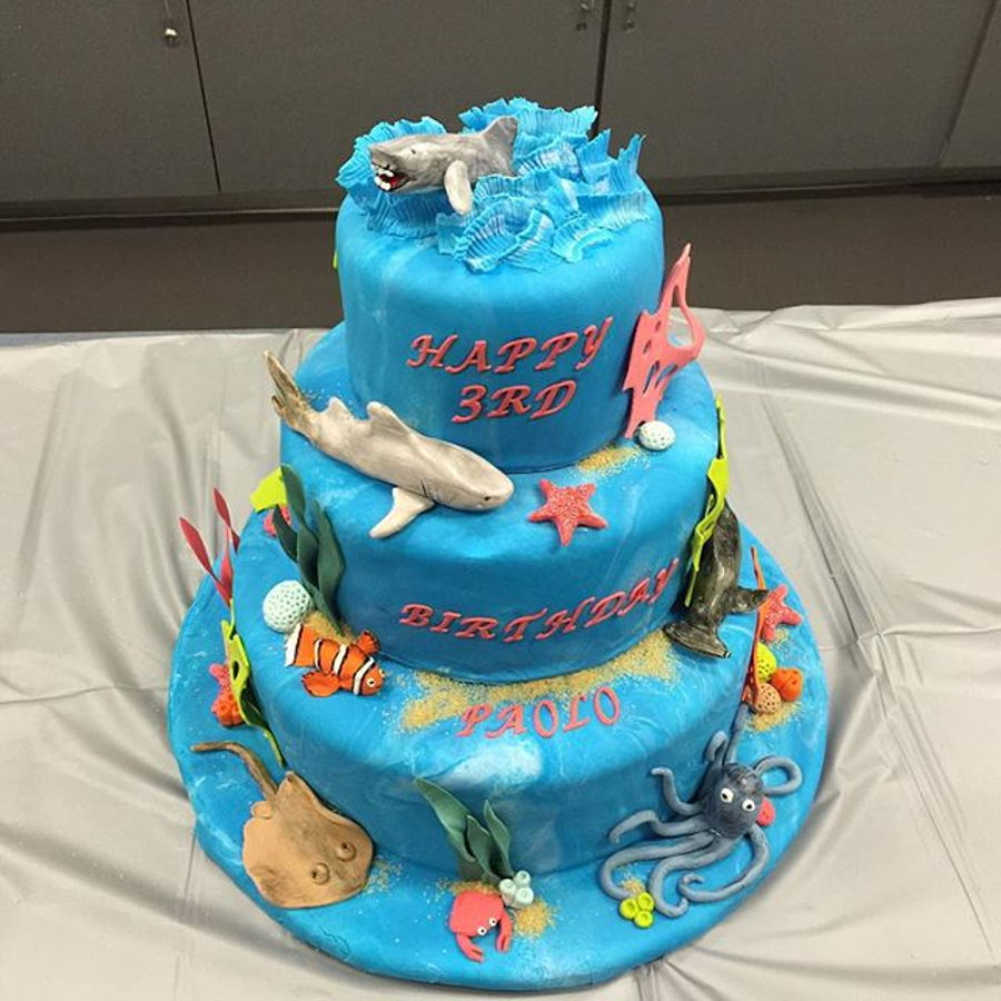 Shark Ocean Birthday Cake Shark Ocean Birthday Cake