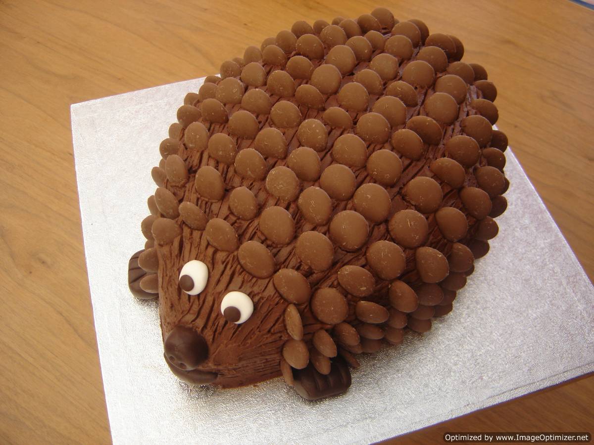Best Cake in the World the Hedgehog Best Cake in the World the Hedgehog