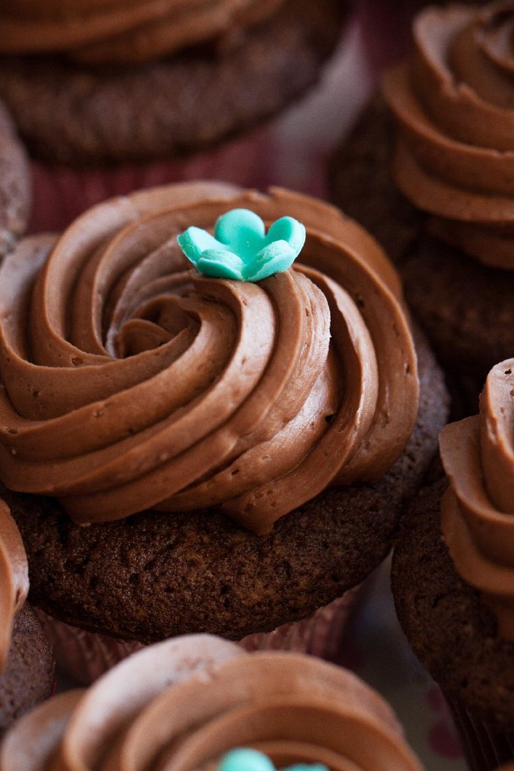 Best Chocolate Cupcake Recipe