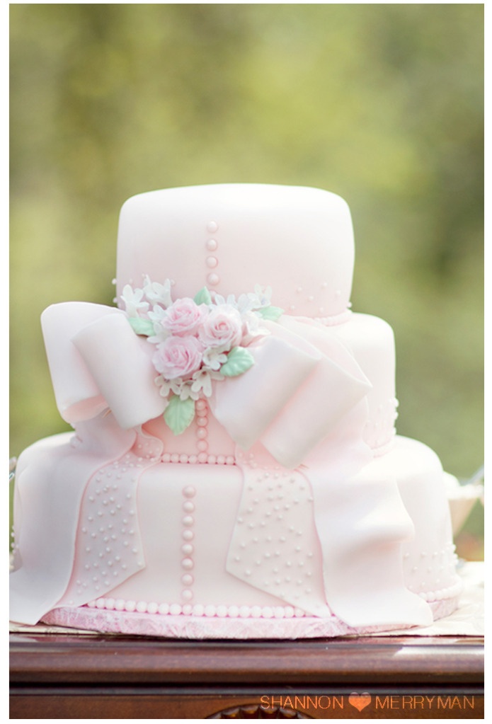 Bridal Shower Cake