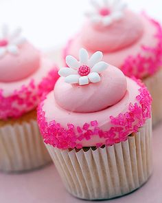 Cute Gourmet Cupcakes