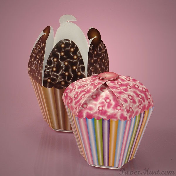 Individual Cupcake Boxes