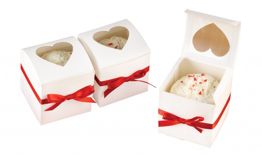 Individual Cupcake Boxes