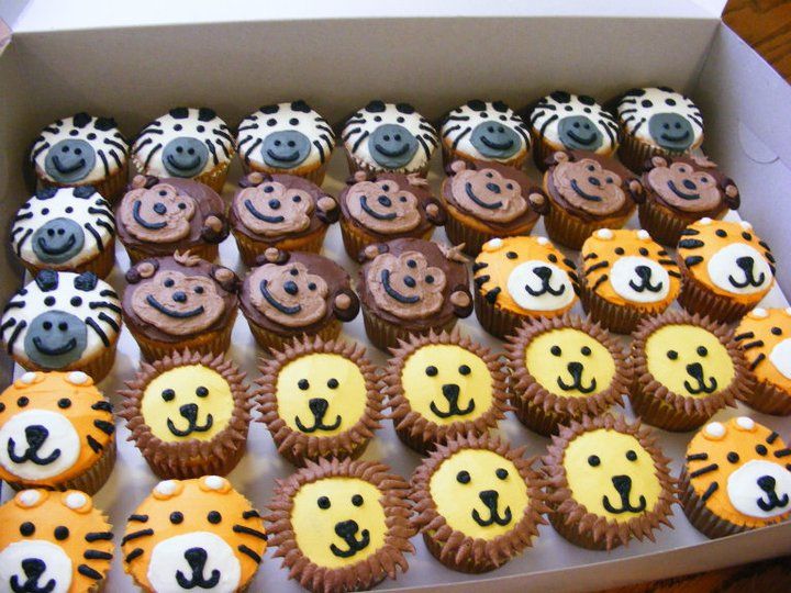 Jungle Theme Birthday Cupcakes