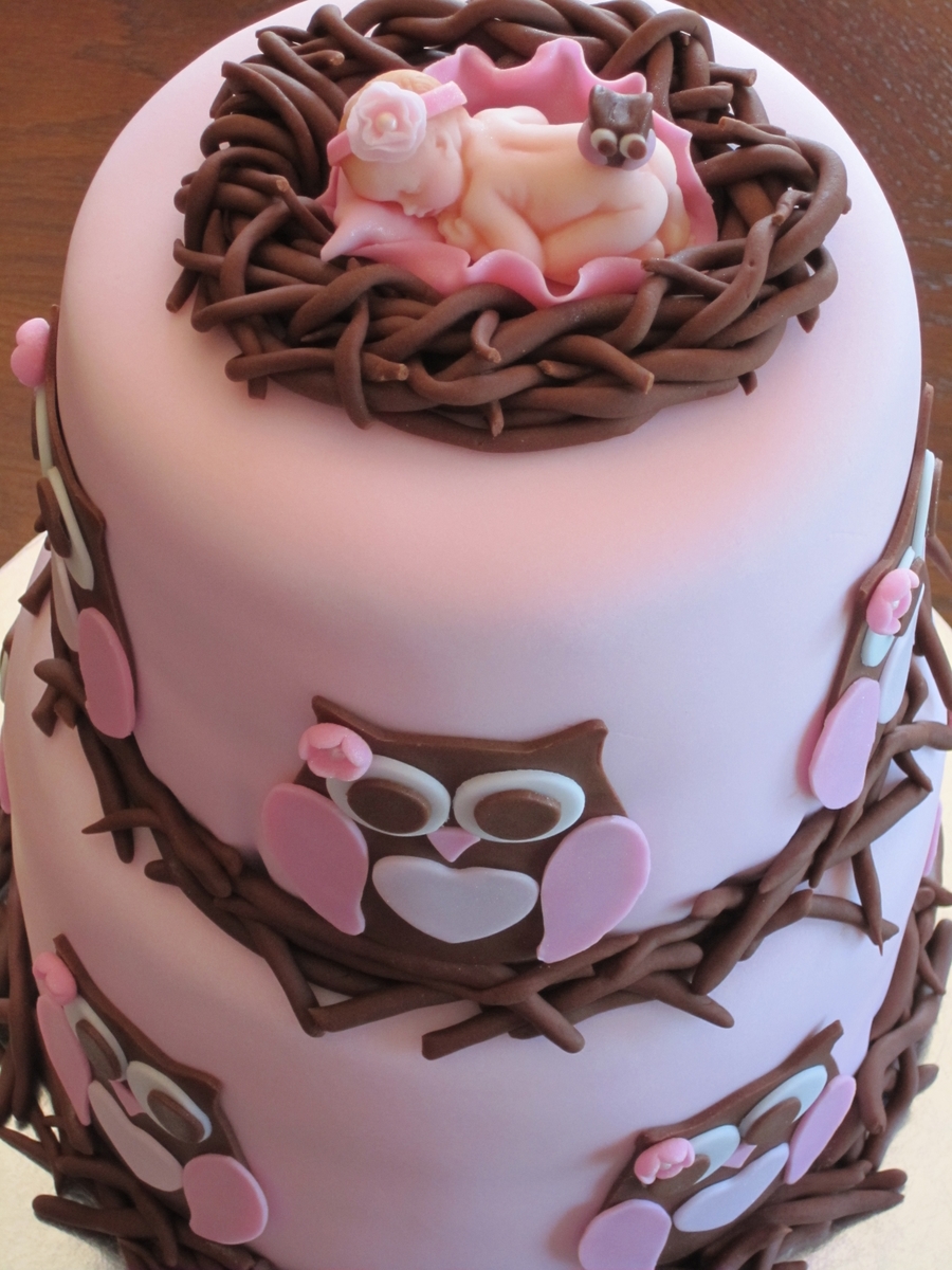 Owl Baby Shower Cake Owl Baby Shower Cake