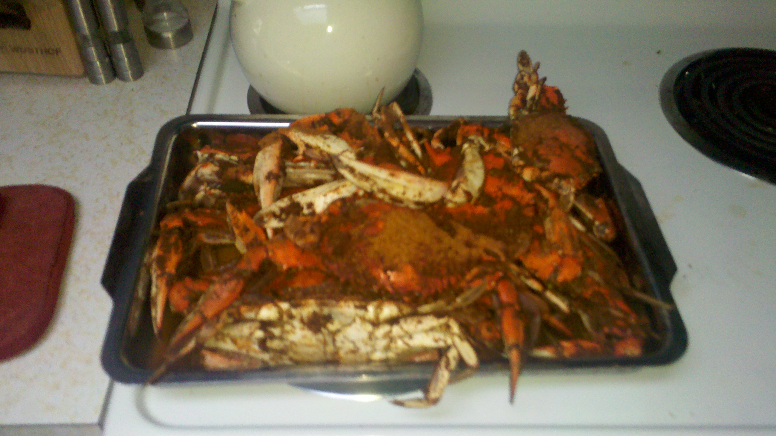 Rainbow Crab Rainbow Crab
