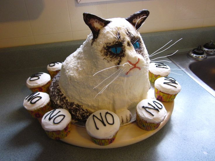 Grumpy Cat Birthday Cake