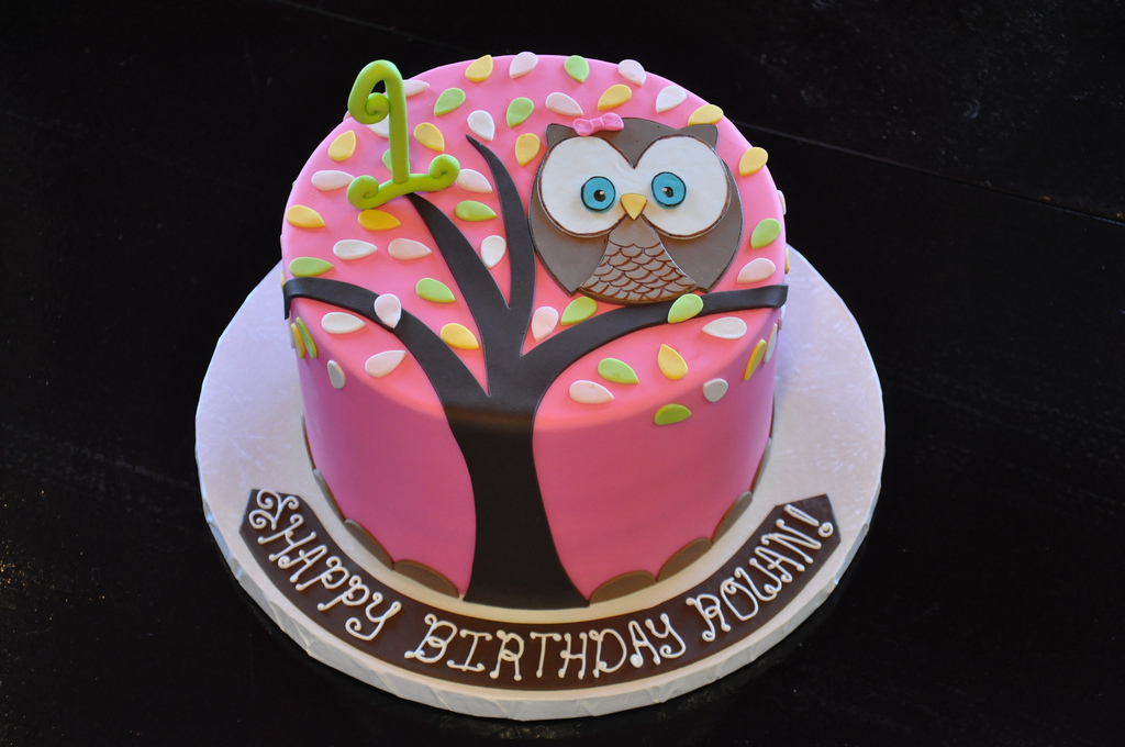 Happy Birthday Owl Cake