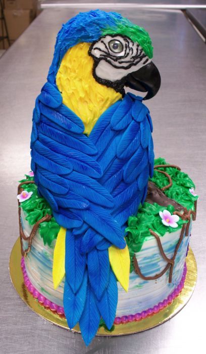Parrot Birthday Cake