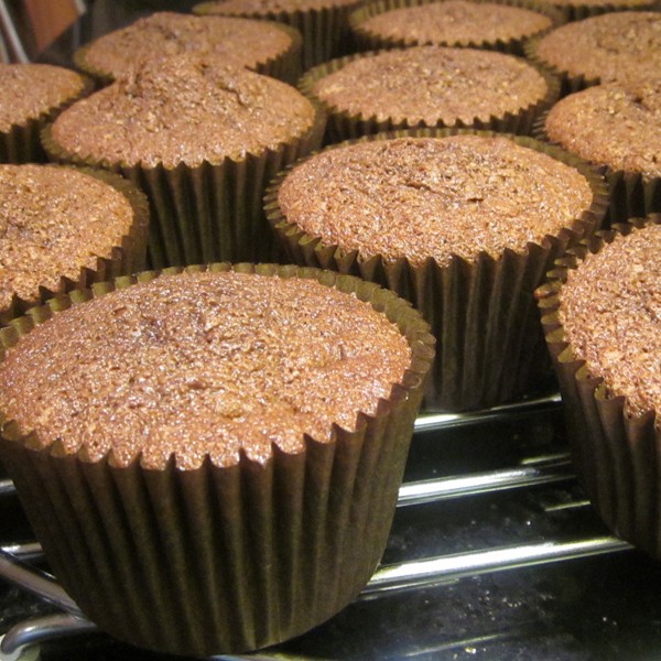 Plain Chocolate Cupcake