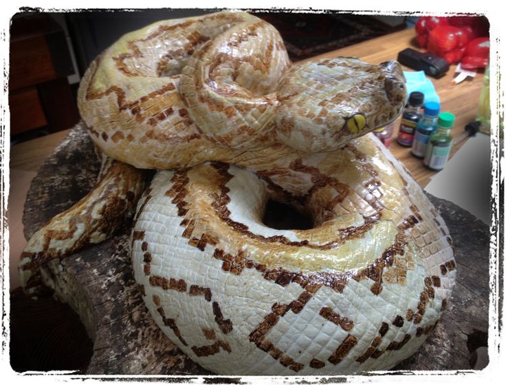 Realistic Looking Snake Cake