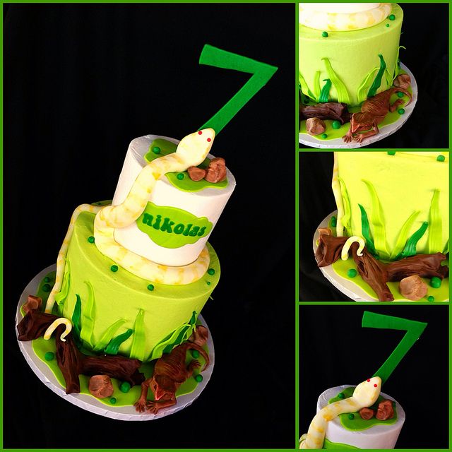 Snake Birthday Cake