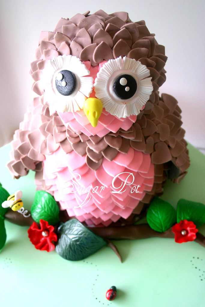 Cute Owl Cake