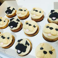 Dog Face Cupcake