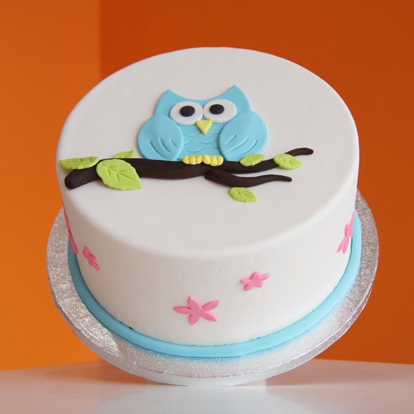 Owl Shaped Cake