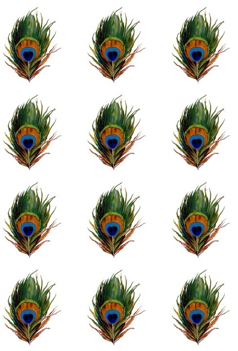 Peacock Feather Cupcake Toppers Edible