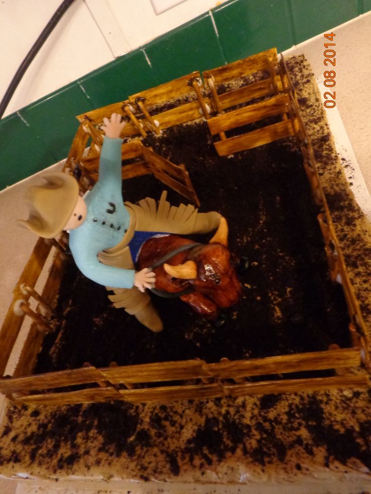 Pictures of Rodeo Bull Riding Birthday Cakes Pictures of Rodeo Bull Riding Birthday Cakes